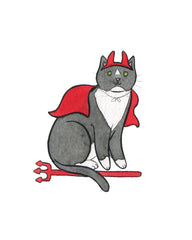 Devil Cat