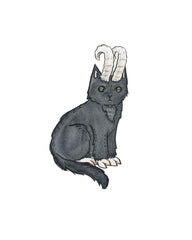 Black Phillip Cat