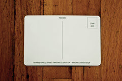 Handsome Buffalo with Scarf Card