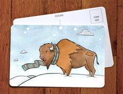 Handsome Buffalo with Scarf Card