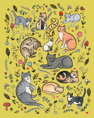 Cats and Plants