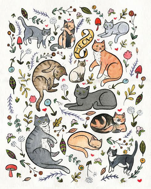 Cats and Plants