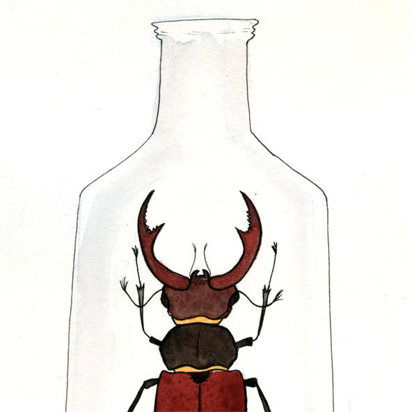 Beetle in a Jar