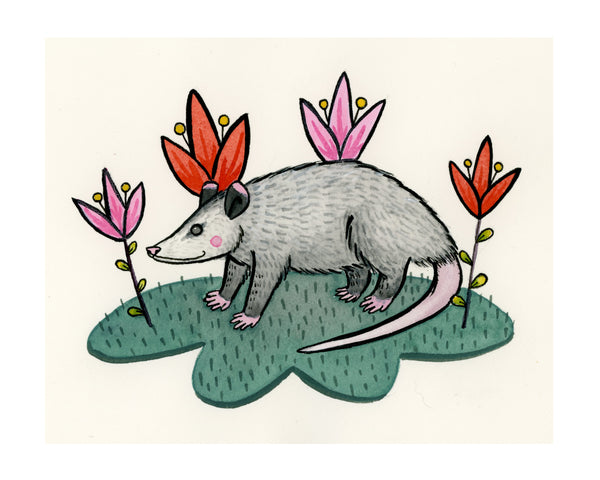 Possum and Flowers