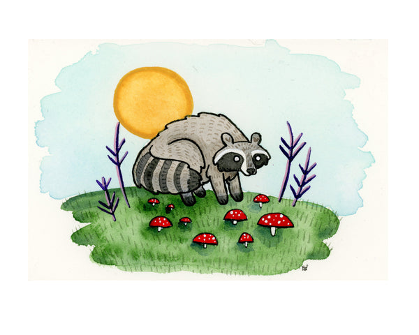 Raccoon and Mushrooms