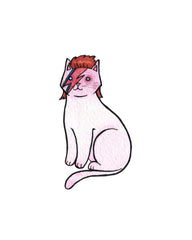 Bowie Cat
