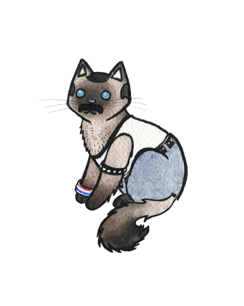 Freddie Purrcury Cat