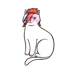 David Bowie Cat